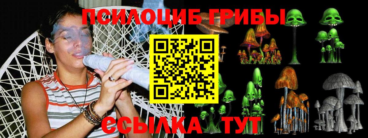 Галлюциногенные грибы мицелий  Вход с VPN  Ливны 