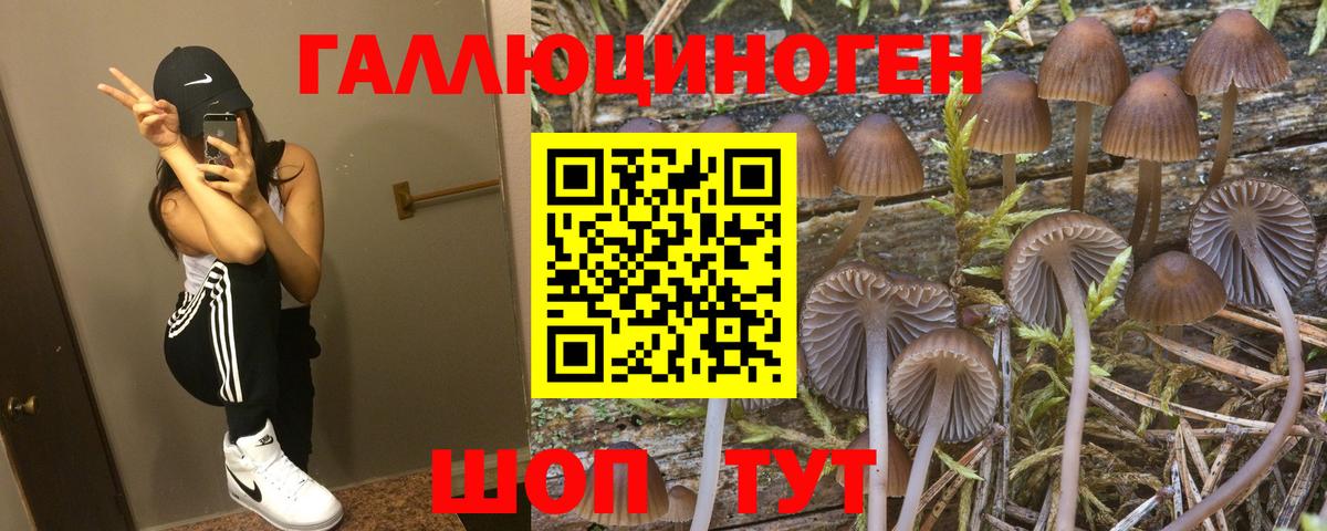 MDMA Ливны