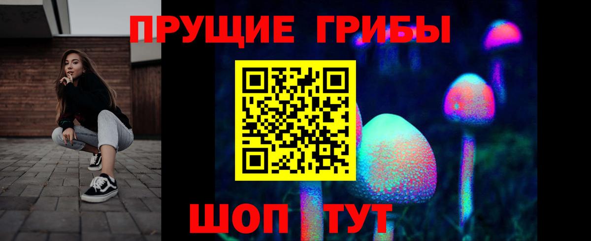 Галлюциногенные грибы Cubensis Ливны